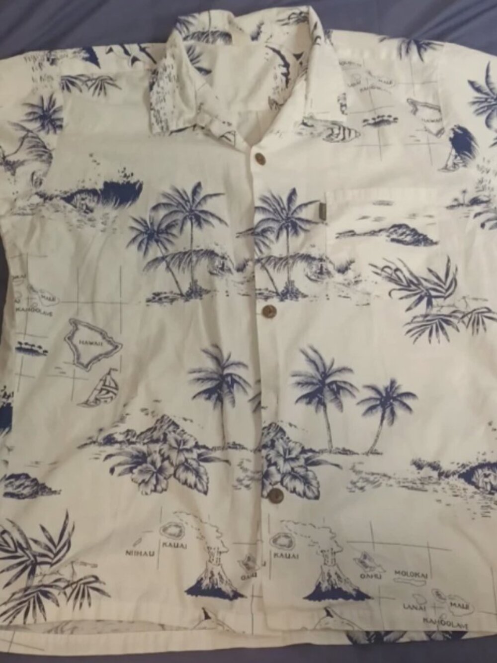 Vintage Hawaiian Shirt Large White Blue Islands Surf Palm Trees Palmwave Button
